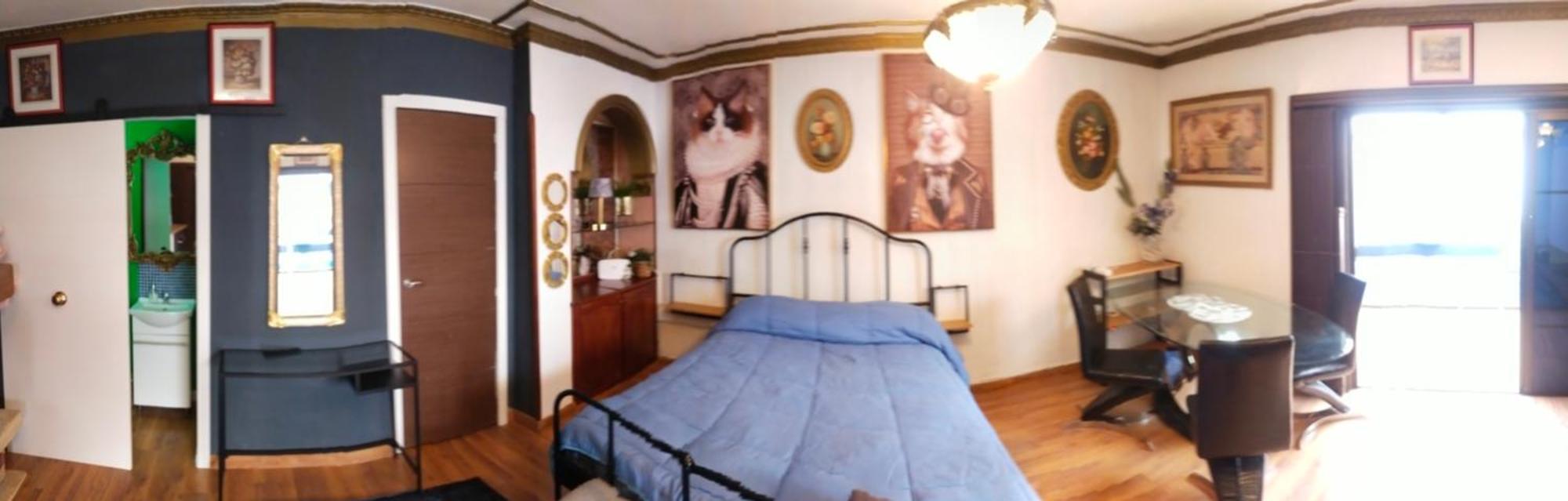Апартаменти Guajara Loft-Balcon Сан-Крістобаль-де-ла-Лагуна Номер фото