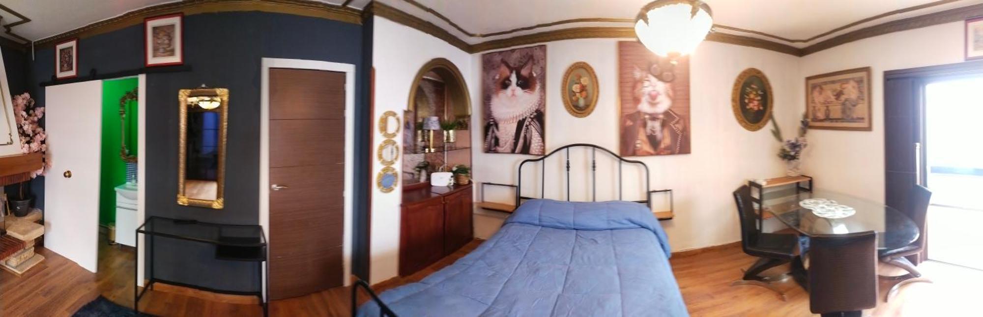 Апартаменти Guajara Loft-Balcon Сан-Крістобаль-де-ла-Лагуна Номер фото